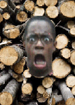 :woodpile: