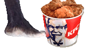 Bucket kick