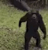 Gibbs3 :gibs3: :gibs3: