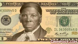 nigger tubman tubby twenty 20-dollar-bill-transfer-transferframe198.jpg