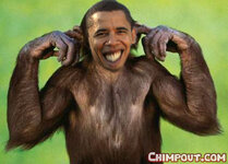 Obama_Monkey.jpg
