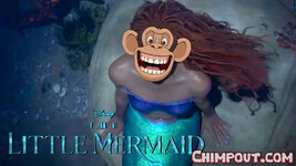 The-Little-Mermaid.jpg