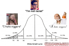 white iq bell curve i hate niggers ae9.png