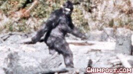 bigfoot1.jpg