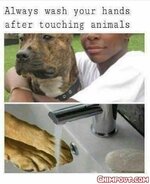nigger wash your hands after touching animals J5AnauH.jpg