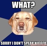 nigger sorry i dont speak nigger 18092759.jpg