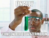 finally concentrated watermelon nigger fad4.jpg