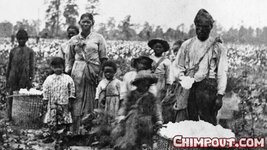 how-slavery-became-the-economic-engine-of-the-souths-featured-photo.jpg