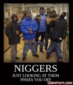 niggers just looking at them ddcddc818868e071.jpg