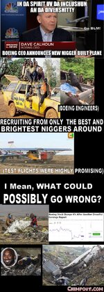 nigger boeing collage 4voe6p.jpg