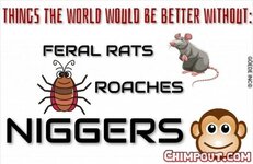 IMG_7469.jpeg
