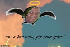 batwings.jpg