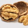 Walnut-sized brains