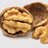 Walnut-sized brains