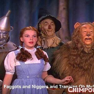 faggots and níggers and trannies oh my.jpg