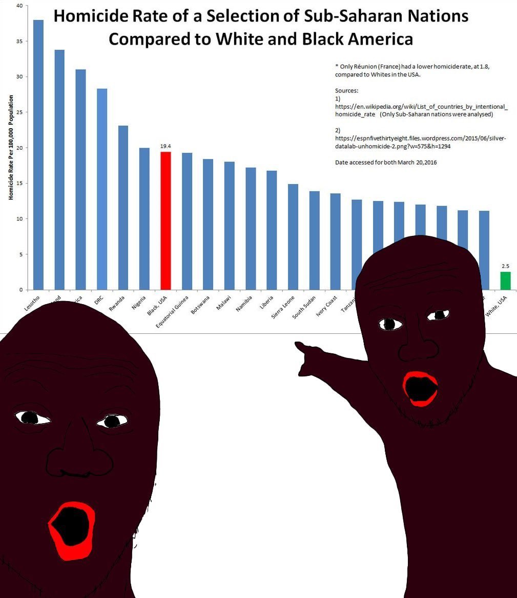 stats_nigger_worldwide_homeycides.jpg