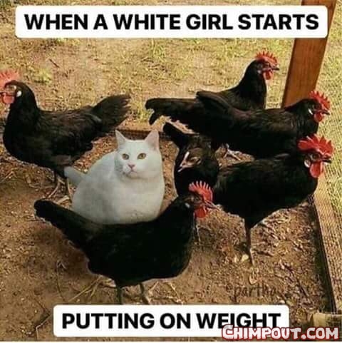 when white girl gets fat.jpg