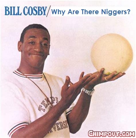 why are there niggers 2.JPG